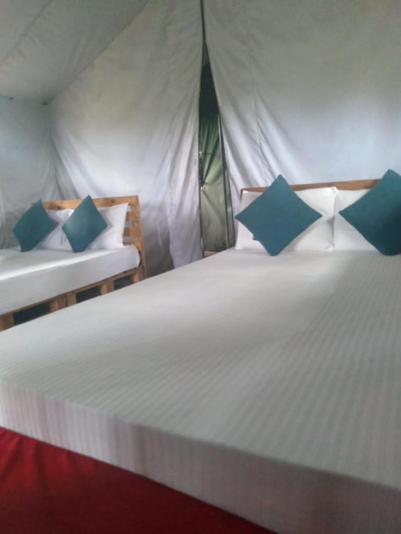 Ella Glamping Ξενοδοχείο Εξωτερικό φωτογραφία