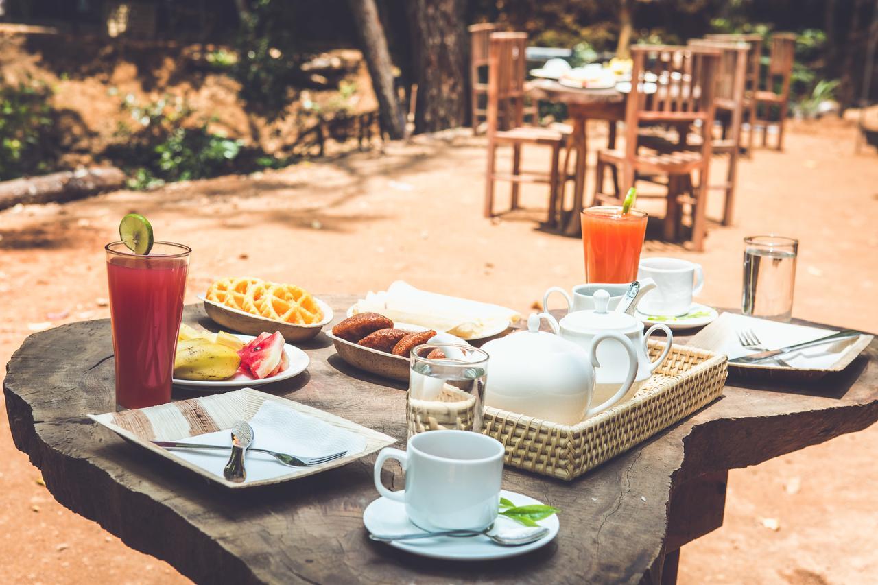 Ella Glamping Ξενοδοχείο Εξωτερικό φωτογραφία