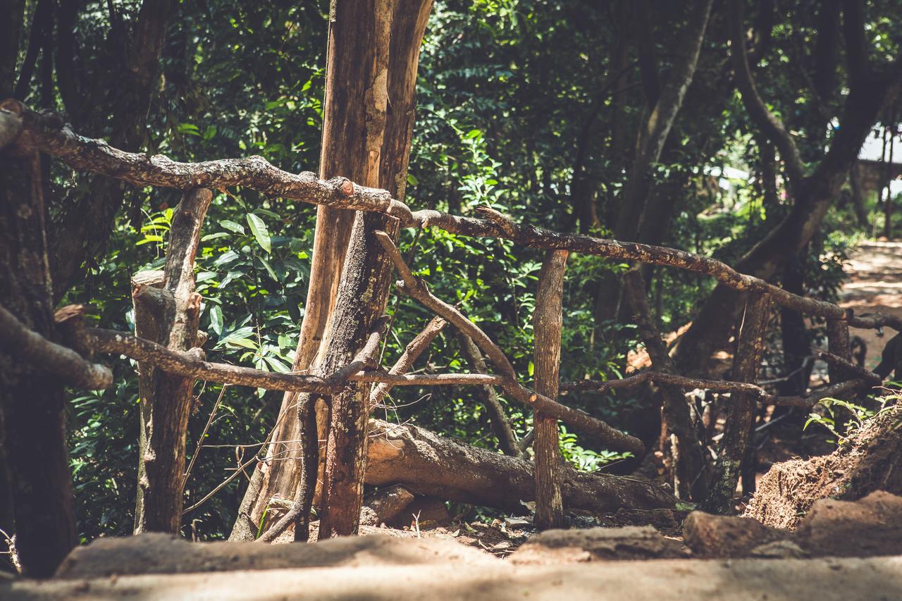 Ella Glamping Ξενοδοχείο Εξωτερικό φωτογραφία