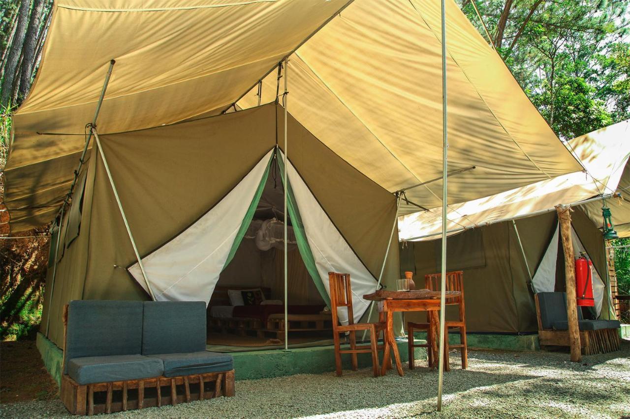 Ella Glamping Ξενοδοχείο Εξωτερικό φωτογραφία