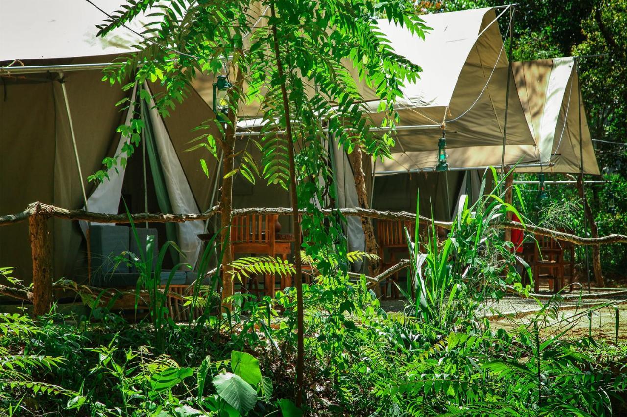 Ella Glamping Ξενοδοχείο Εξωτερικό φωτογραφία