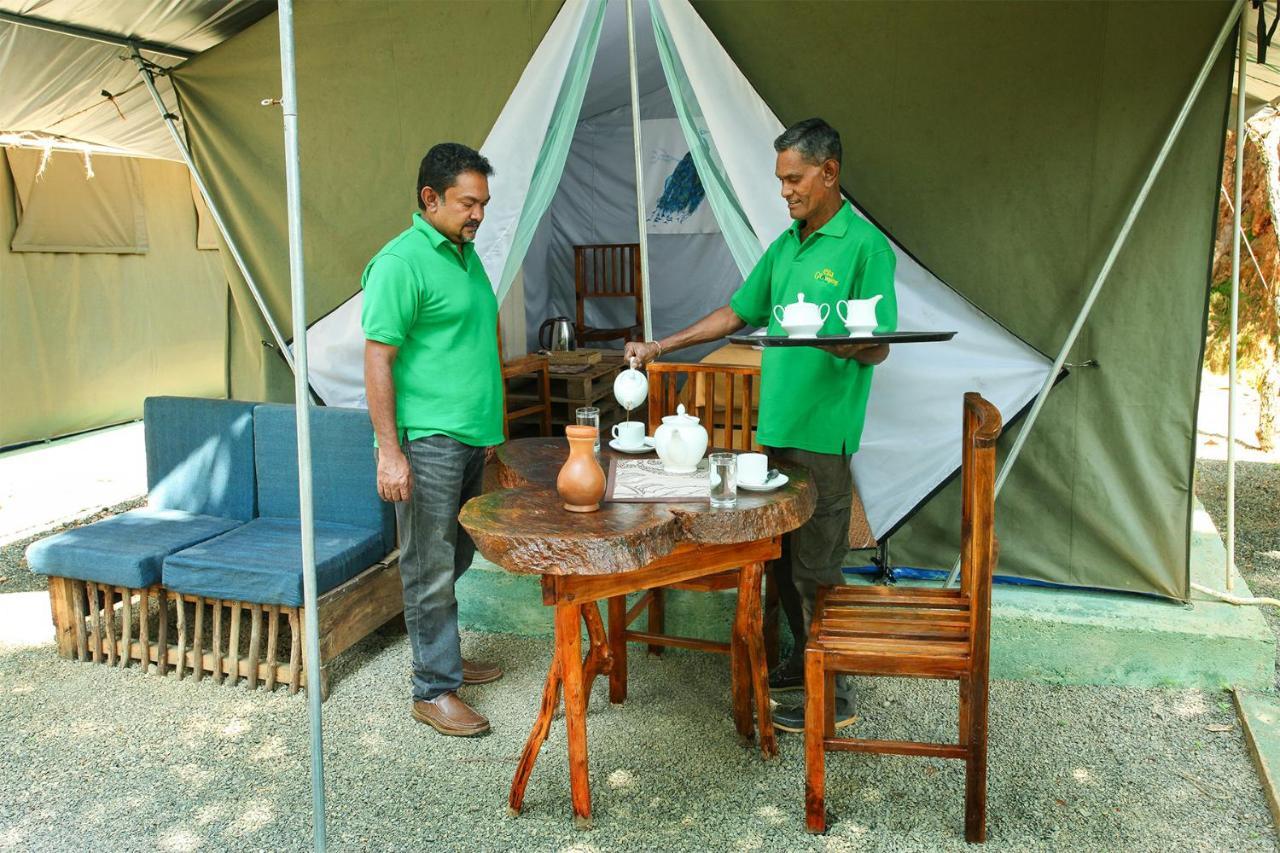 Ella Glamping Ξενοδοχείο Εξωτερικό φωτογραφία